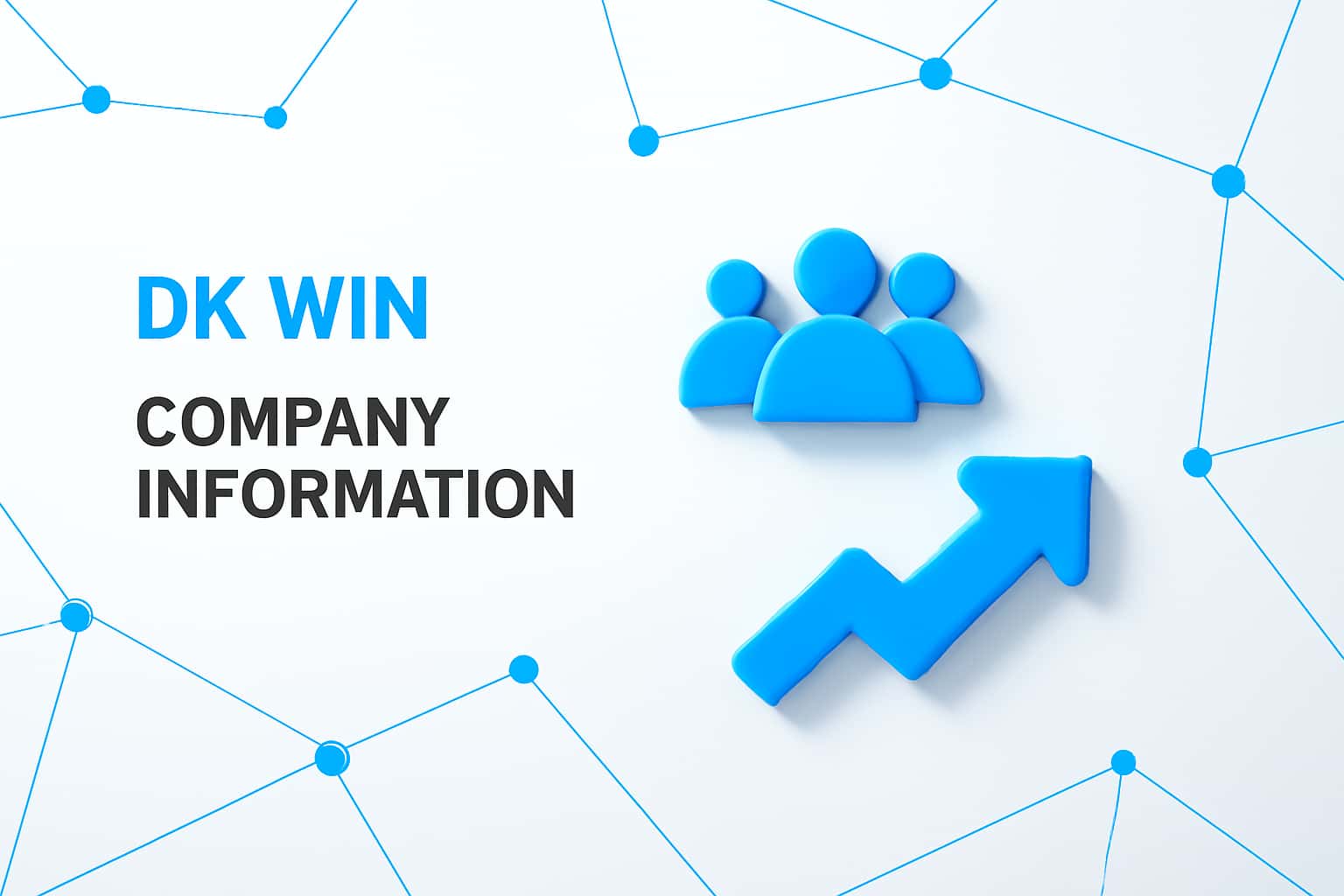 DK Win Company Information Interface